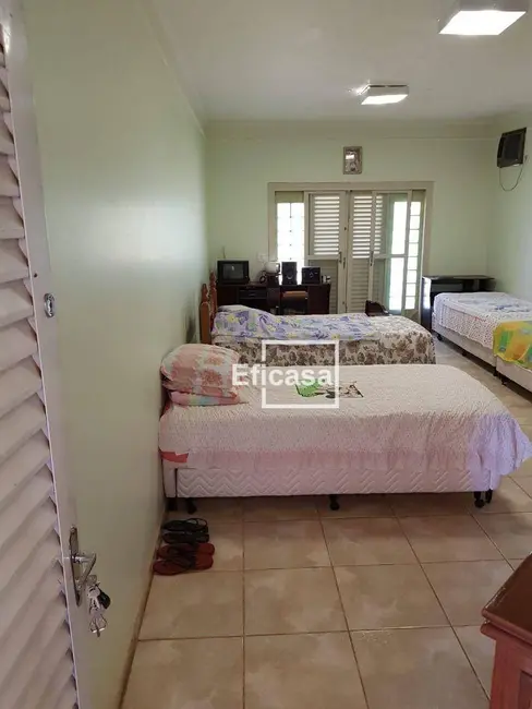 Foto 5 de Chácara com 1 quarto à venda, 5000m2 em Recanto dos Eduardos, Sao Jose Do Rio Preto - SP