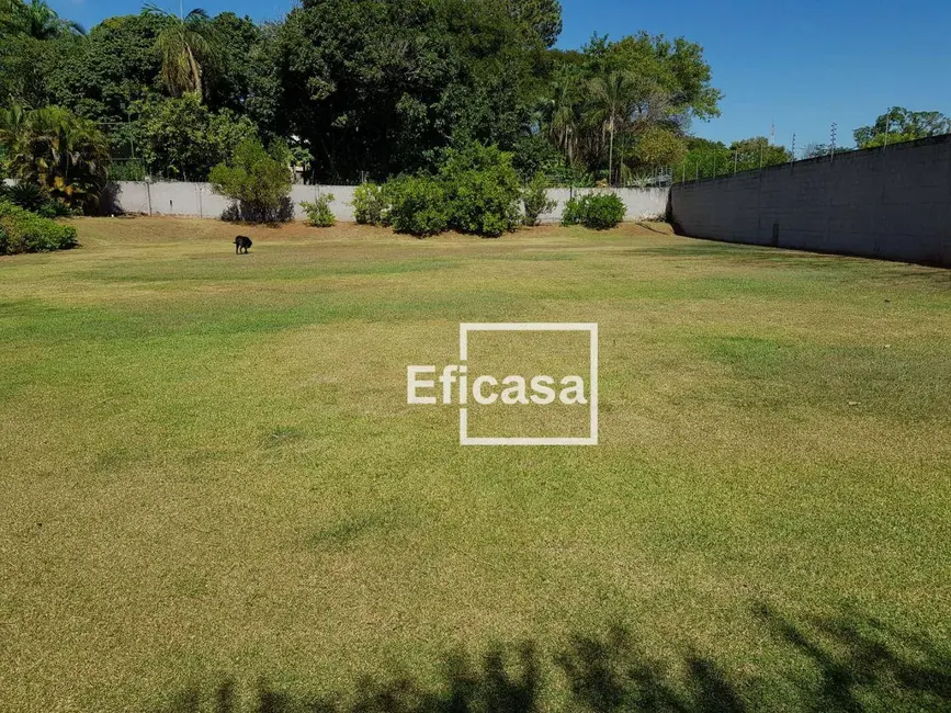 Foto 2 de Chácara com 1 quarto à venda, 5000m2 em Recanto dos Eduardos, Sao Jose Do Rio Preto - SP