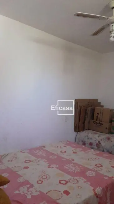 Foto 7 de Chácara com 3 quartos à venda, 1000m2 em Estância São Manoel (Zona Rural), Sao Jose Do Rio Preto - SP