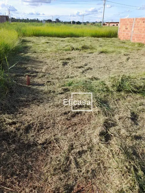 Foto 3 de Terreno / Lote à venda, 213m2 em Mirassol - SP