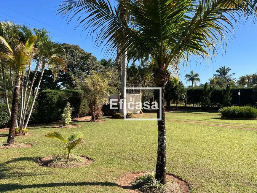 Foto 2 de Chácara com 4 quartos à venda, 5000m2 em Mirassol - SP