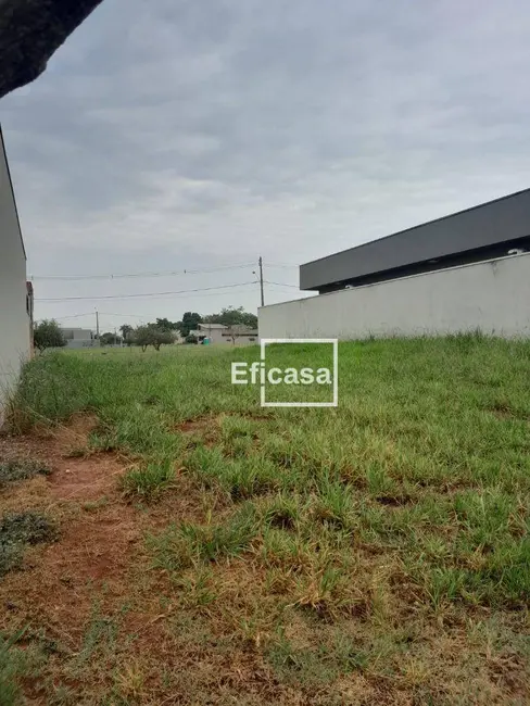 Terreno / Lote à venda, 225m2 em Centro, Sao Jose Do Rio Preto - SP - imagem 3 Foto 3 de Terreno / Lote à venda, 225m2 em Centro, Sao Jose Do Rio Preto - SP