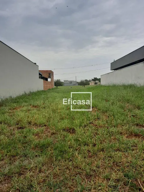 Terreno / Lote à venda, 225m2 em Centro, Sao Jose Do Rio Preto - SP - imagem 4 Foto 4 de Terreno / Lote à venda, 225m2 em Centro, Sao Jose Do Rio Preto - SP
