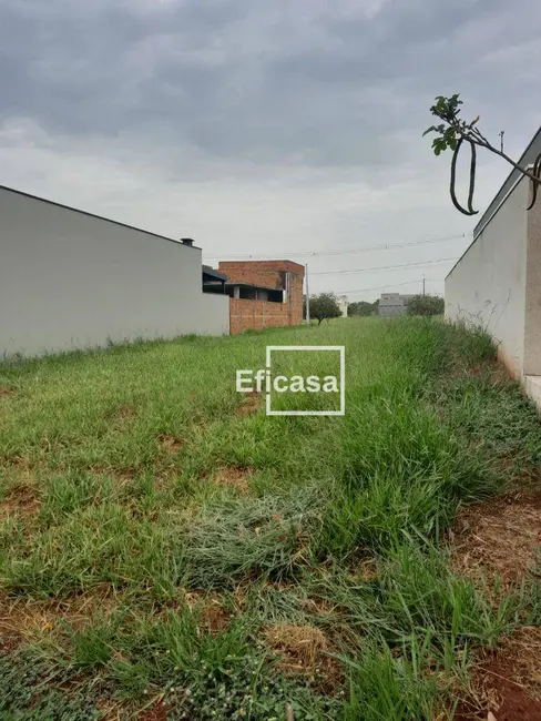 Foto 2 de Terreno / Lote à venda, 225m2 em Centro, Sao Jose Do Rio Preto - SP
