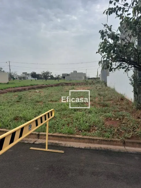 Foto 3 de Terreno / Lote à venda, 225m2 em Jardim Sônia, Sao Jose Do Rio Preto - SP