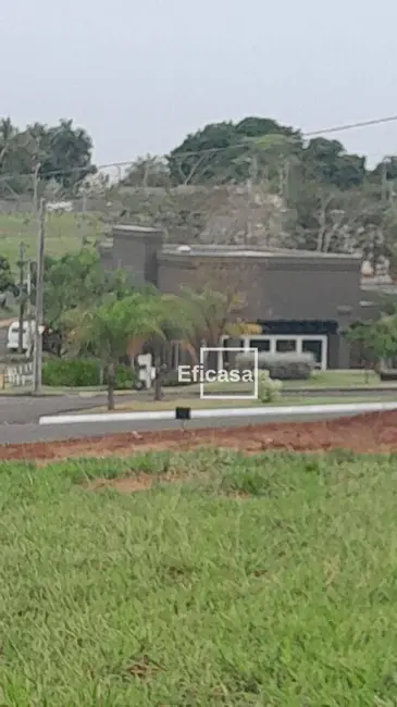 Foto 7 de Terreno / Lote à venda, 225m2 em Jardim Sônia, Sao Jose Do Rio Preto - SP