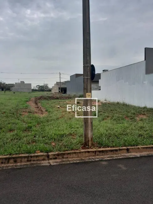 Foto 2 de Terreno / Lote à venda, 225m2 em Jardim Sônia, Sao Jose Do Rio Preto - SP