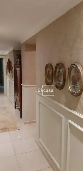 Apartamento com 3 quartos à venda, 250m2 em Centro, Sao Jose Do Rio Preto - SP - imagem 6 Foto 6 de Apartamento com 3 quartos à venda, 250m2 em Centro, Sao Jose Do Rio Preto - SP