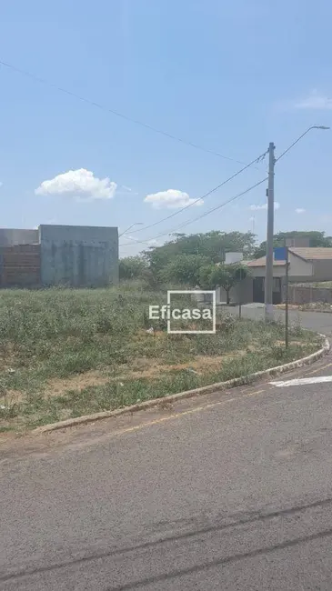 Foto 3 de Terreno / Lote à venda, 250m2 em Jose Bonifacio - SP