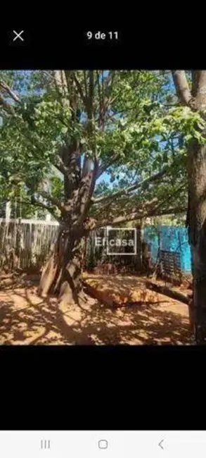 Foto 8 de Chácara com 1 quarto à venda, 1000m2 em Estância Bosque Verde (Zona Rural), Sao Jose Do Rio Preto - SP