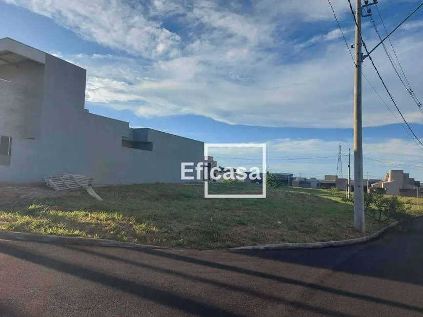 Foto 5 de Terreno / Lote à venda, 320m2 em Mirassol - SP