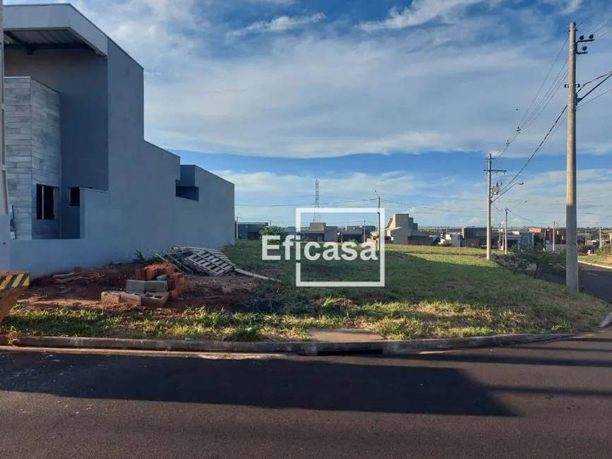 Foto 7 de Terreno / Lote à venda, 320m2 em Mirassol - SP