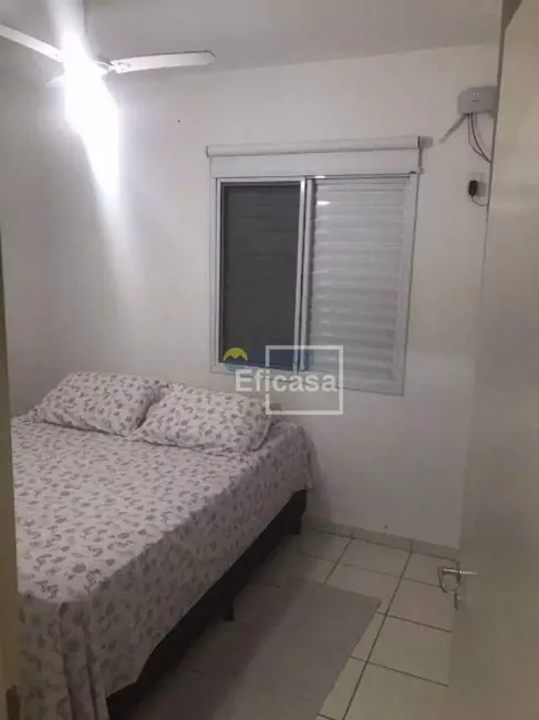 Apartamento com 3 quartos à venda e para alugar, 90m2 em Pinheiros, Sao Jose Do Rio Preto - SP - imagem 6 Foto 6 de Apartamento com 3 quartos à venda e para alugar, 90m2 em Pinheiros, Sao Jose Do Rio Preto - SP
