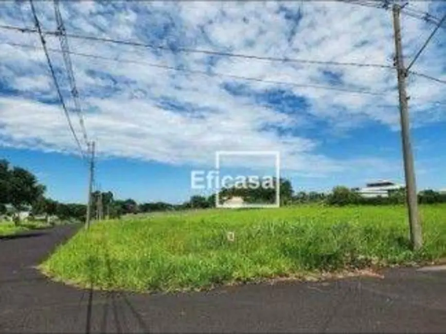 Foto 3 de Chácara com 1 quarto à venda, 5017m2 em Chácara Recreativa Residencial Cortina D`Ampezzo, Sao Jose Do Rio Preto - SP