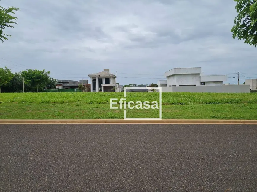 Foto 6 de Terreno / Lote à venda, 309m2 em Mirassol - SP