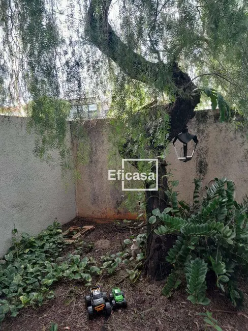 Foto 4 de Casa com 3 quartos à venda, 384m2 em Estância São Manoel (Zona Rural), Sao Jose Do Rio Preto - SP