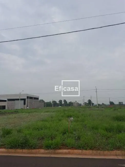 Terreno / Lote à venda, 400m2 em Residencial Alta Vista, Sao Jose Do Rio Preto - SP - imagem 5 Foto 5 de Terreno / Lote à venda, 400m2 em Residencial Alta Vista, Sao Jose Do Rio Preto - SP