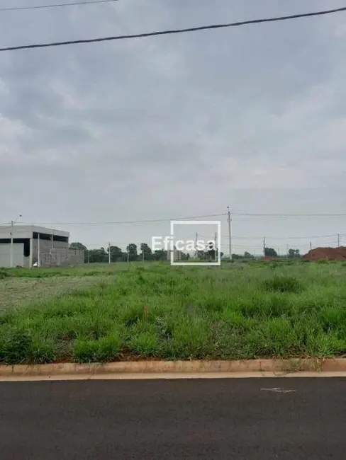 Terreno / Lote à venda, 400m2 em Residencial Alta Vista, Sao Jose Do Rio Preto - SP - imagem 6 Foto 6 de Terreno / Lote à venda, 400m2 em Residencial Alta Vista, Sao Jose Do Rio Preto - SP