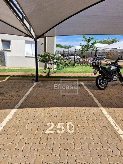 Foto 7 de Apartamento com 2 quartos à venda, 60m2 em Parque das Amoras, Sao Jose Do Rio Preto - SP