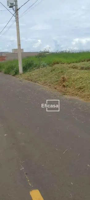Foto 1 de Terreno / Lote à venda, 200m2 em Sao Jose Do Rio Preto - SP