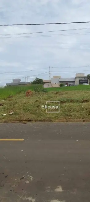 Terreno / Lote à venda, 200m2 em Sao Jose Do Rio Preto - SP - imagem 2 Foto 2 de Terreno / Lote à venda, 200m2 em Sao Jose Do Rio Preto - SP