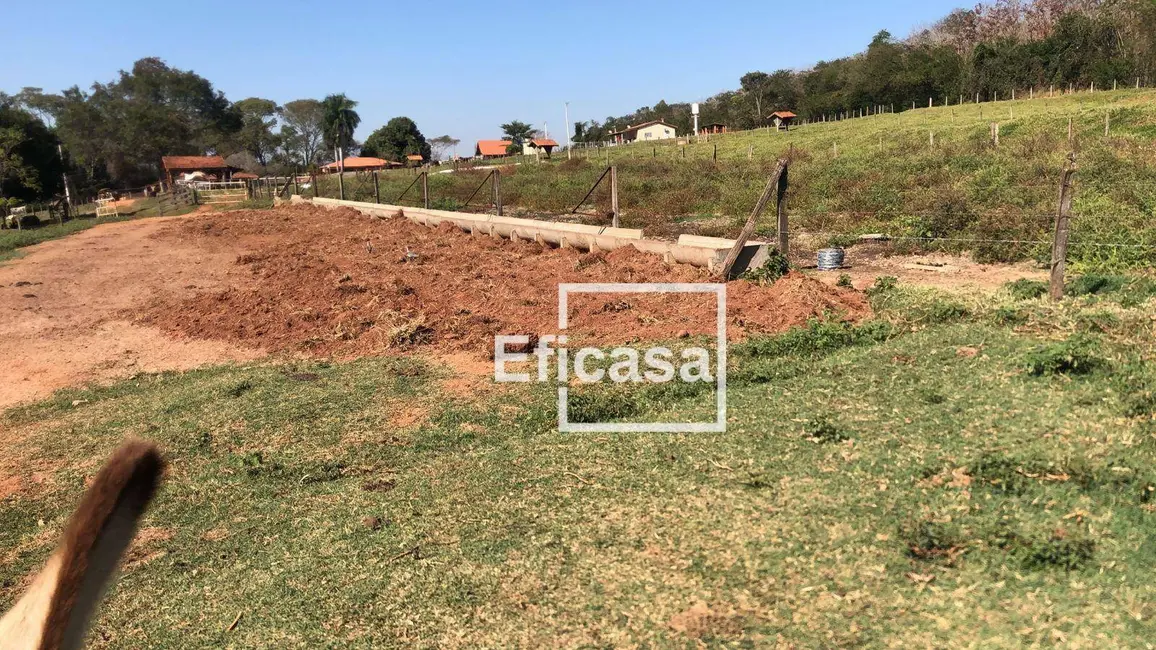 Foto 3 de Sítio / Rancho com 3 quartos à venda, 36000m2 em Mirassol - SP