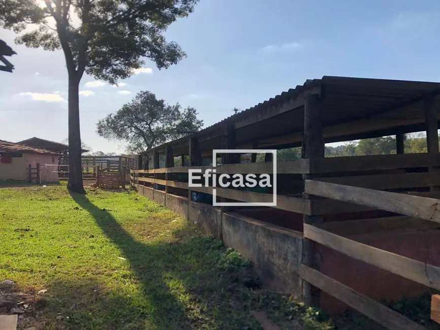 Foto 9 de Sítio / Rancho com 3 quartos à venda, 36000m2 em Mirassol - SP