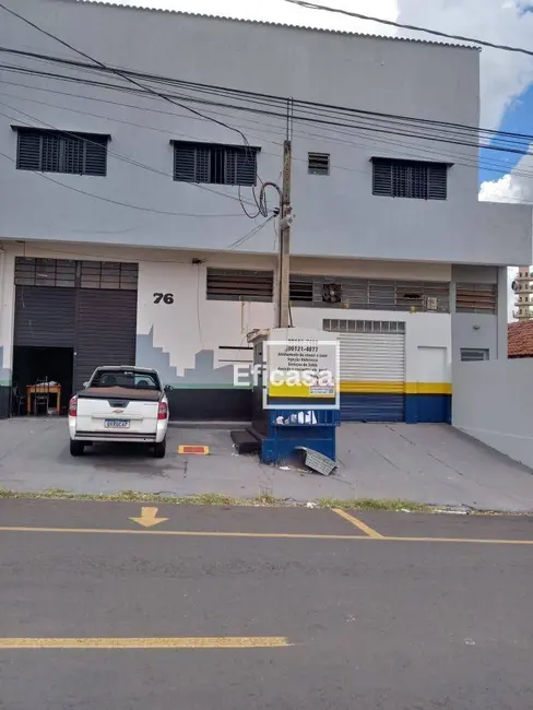 Sala Comercial à venda, 600m2 em Jardim América, Sao Jose Do Rio Preto - SP - imagem 8 Foto 8 de Sala Comercial à venda, 600m2 em Jardim América, Sao Jose Do Rio Preto - SP