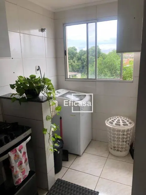 Apartamento com 2 quartos à venda, 70m2 em Jardim Mugnaini, Sao Jose Do Rio Preto - SP - imagem 3 Foto 3 de Apartamento com 2 quartos à venda, 70m2 em Jardim Mugnaini, Sao Jose Do Rio Preto - SP