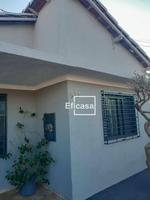 Casa com 2 quartos à venda, 470m2 em Vila Ipiranga, Sao Jose Do Rio Preto - SP - imagem 1 Foto 1 de Casa com 2 quartos à venda, 470m2 em Vila Ipiranga, Sao Jose Do Rio Preto - SP