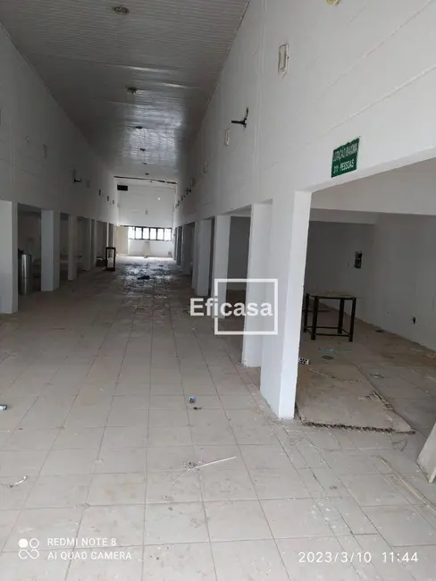 Sala Comercial à venda e para alugar, 435m2 em Centro, Sao Jose Do Rio Preto - SP - imagem 4 Foto 4 de Sala Comercial à venda e para alugar, 435m2 em Centro, Sao Jose Do Rio Preto - SP