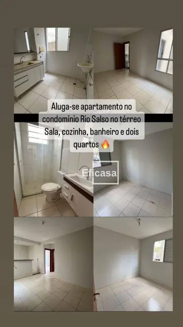 Foto 1 de Apartamento com 2 quartos para alugar, 55m2 em Sao Jose Do Rio Preto - SP