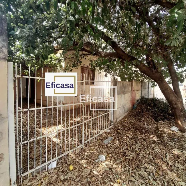 Foto 2 de Casa com 2 quartos à venda, 380m2 em Parque Celeste, Sao Jose Do Rio Preto - SP