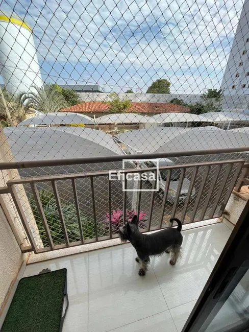 Foto 6 de Apartamento com 2 quartos à venda, 75m2 em São Francisco, Sao Jose Do Rio Preto - SP