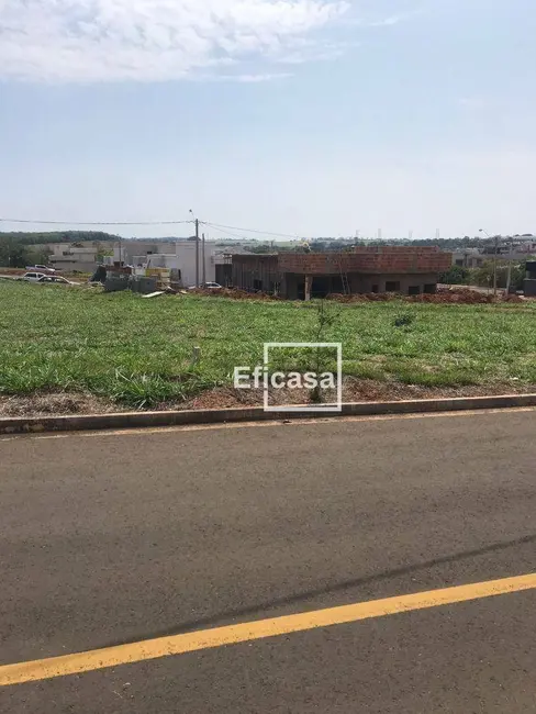 Foto 2 de Terreno / Lote à venda, 253m2 em Residencial Maria Júlia, Sao Jose Do Rio Preto - SP