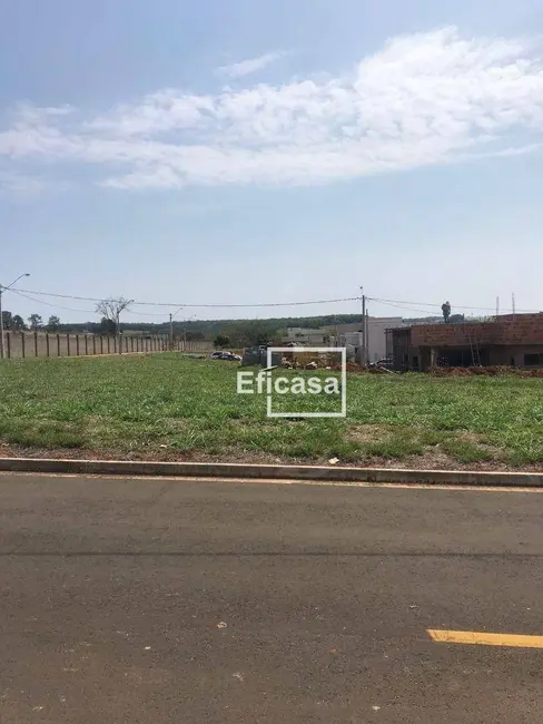 Foto 1 de Terreno / Lote à venda, 253m2 em Residencial Maria Júlia, Sao Jose Do Rio Preto - SP