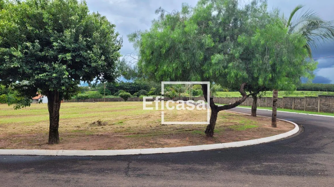 Foto 6 de Terreno / Lote à venda, 1442m2 em Mirassol - SP