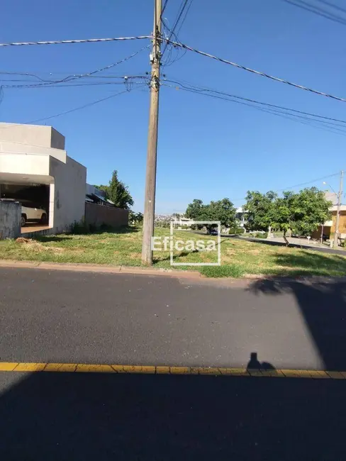 Foto 3 de Terreno / Lote à venda, 539m2 em Parque Residencial Damha V, Sao Jose Do Rio Preto - SP