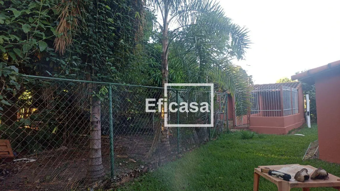 Foto 7 de Chácara com 3 quartos à venda, 5500m2 em Chácaras de Recreio Felicidade (Zona Rural), Sao Jose Do Rio Preto - SP