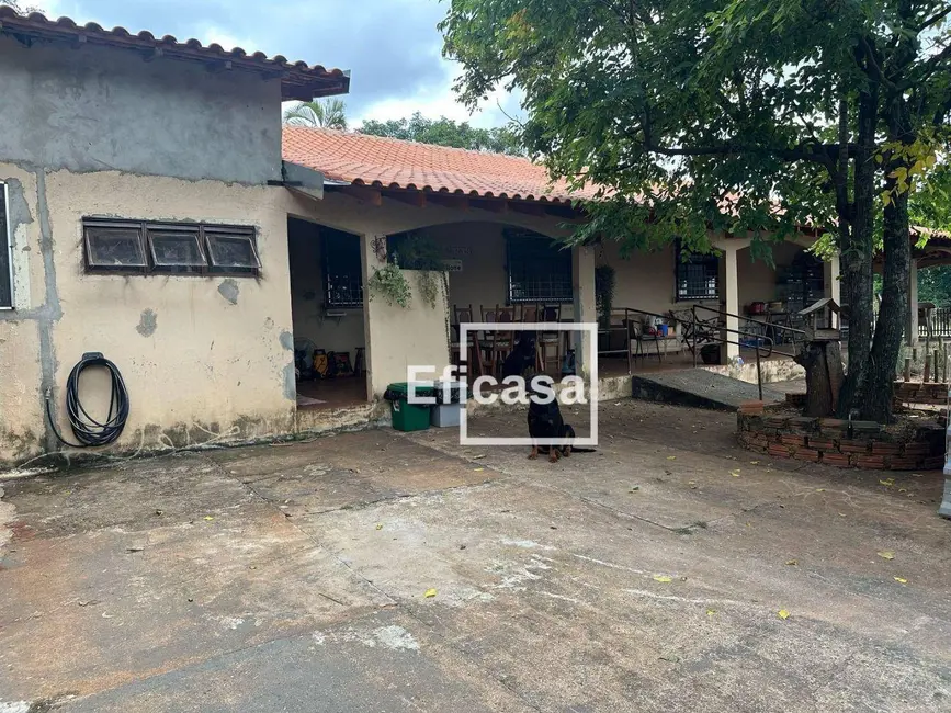 Foto 8 de Chácara com 3 quartos à venda, 4393m2 em Estância Jóckei Club, Sao Jose Do Rio Preto - SP