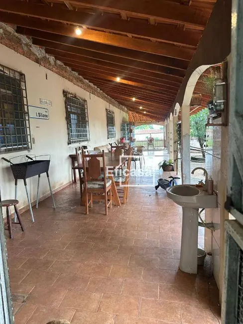 Foto 7 de Chácara com 3 quartos à venda, 4393m2 em Estância Jóckei Club, Sao Jose Do Rio Preto - SP