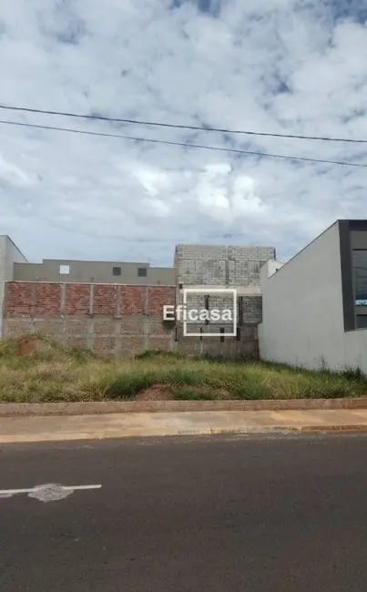 Foto 2 de Terreno / Lote à venda, 397m2 em Mirassol - SP