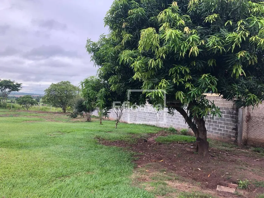 Foto 1 de Chácara com 1 quarto à venda, 5000m2 em Loteamento San Fernando Valley, Sao Jose Do Rio Preto - SP