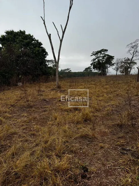 Foto 7 de Chácara à venda, 5563m2 em Estância Santa Apolônia (Zona Rural), Sao Jose Do Rio Preto - SP