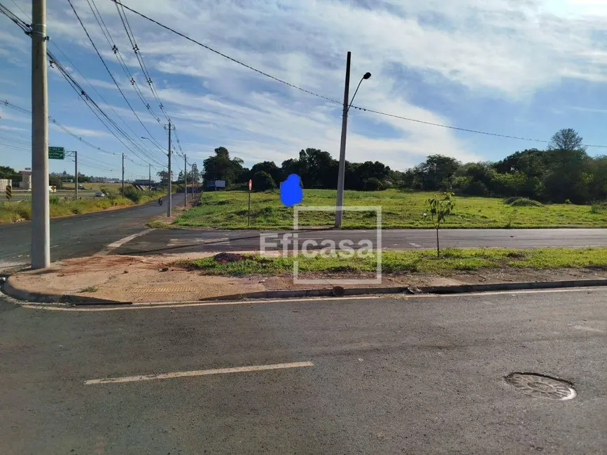 Sala Comercial à venda, 53000m2 em Jardim Primavera, Sao Jose Do Rio Preto - SP - imagem 1 Foto 1 de Sala Comercial à venda, 53000m2 em Jardim Primavera, Sao Jose Do Rio Preto - SP