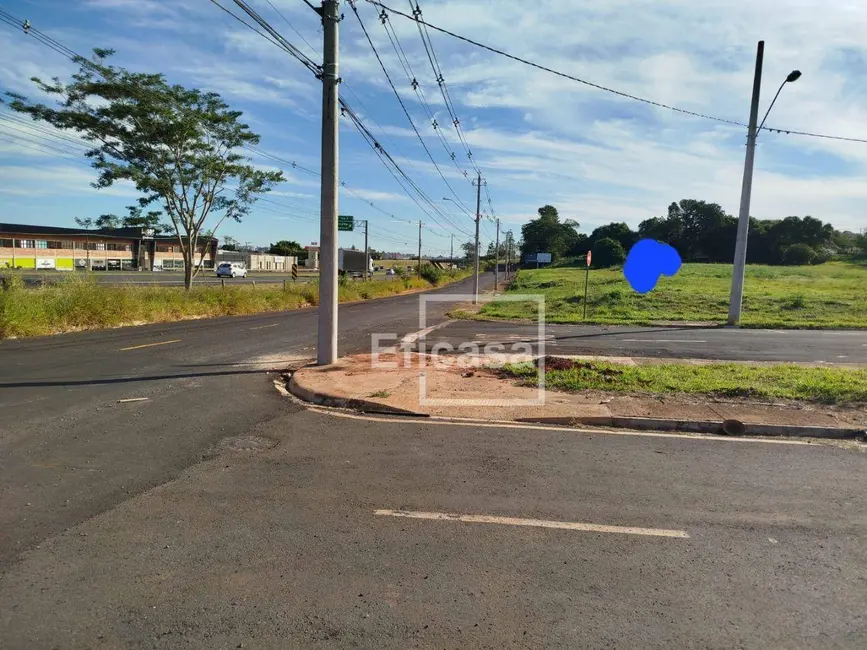Sala Comercial à venda, 53000m2 em Jardim Primavera, Sao Jose Do Rio Preto - SP - imagem 2 Foto 2 de Sala Comercial à venda, 53000m2 em Jardim Primavera, Sao Jose Do Rio Preto - SP
