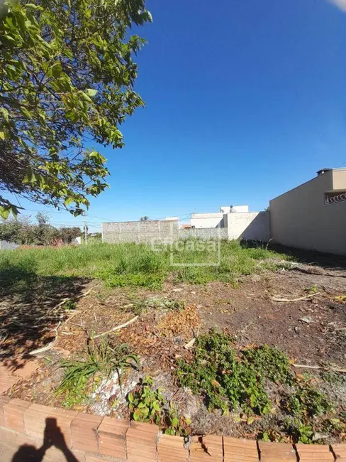 Terreno / Lote à venda, 200m2 em Sao Jose Do Rio Preto - SP - imagem 7 Foto 7 de Terreno / Lote à venda, 200m2 em Sao Jose Do Rio Preto - SP