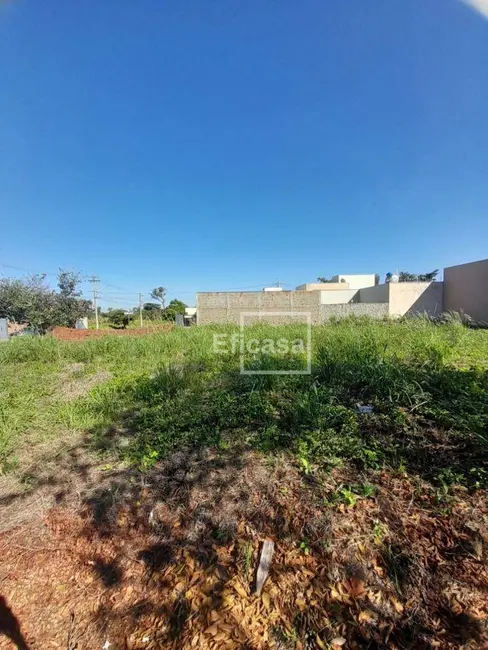 Terreno / Lote à venda, 200m2 em Sao Jose Do Rio Preto - SP - imagem 5 Foto 5 de Terreno / Lote à venda, 200m2 em Sao Jose Do Rio Preto - SP
