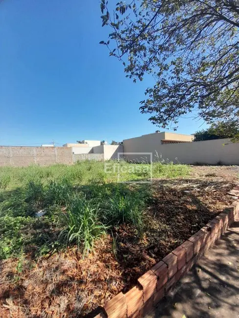 Terreno / Lote à venda, 200m2 em Sao Jose Do Rio Preto - SP - imagem 3 Foto 3 de Terreno / Lote à venda, 200m2 em Sao Jose Do Rio Preto - SP