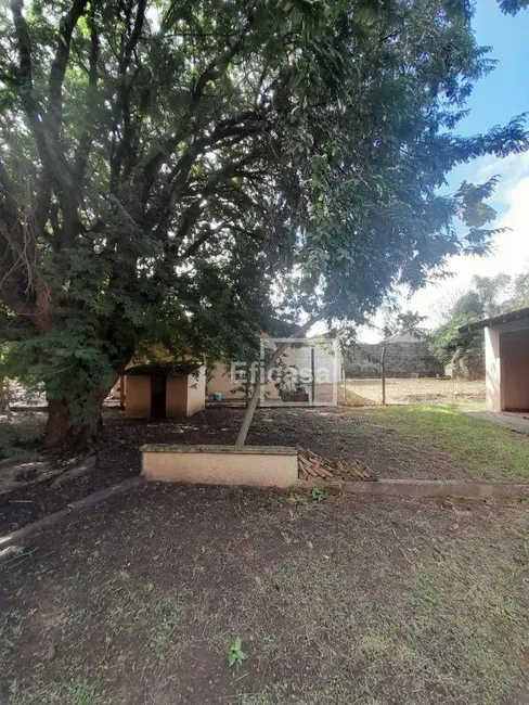 Foto 7 de Chácara com 1 quarto à venda, 2573m2 em Jardim Leste, Sao Jose Do Rio Preto - SP